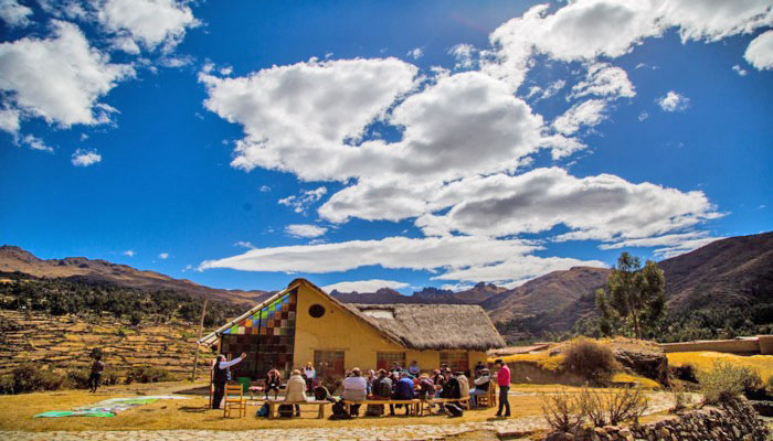 COP31: Perú buscará inversiones para proteger bosques y enfrentar el cambio climático